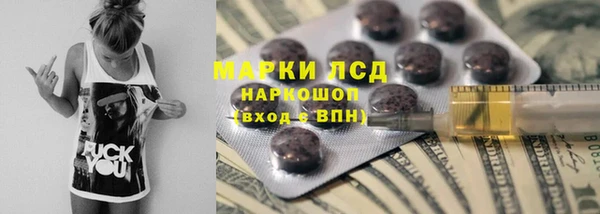 ГАЛЛЮЦИНОГЕННЫЕ ГРИБЫ Покров