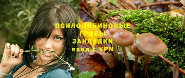 ГАЛЛЮЦИНОГЕННЫЕ ГРИБЫ Покров