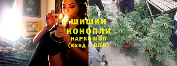 spice Покачи