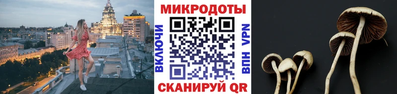 Галлюциногенные грибы прущие грибы  Темников 